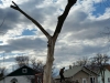 A+ Tree Service of Scottsbluff, NE 